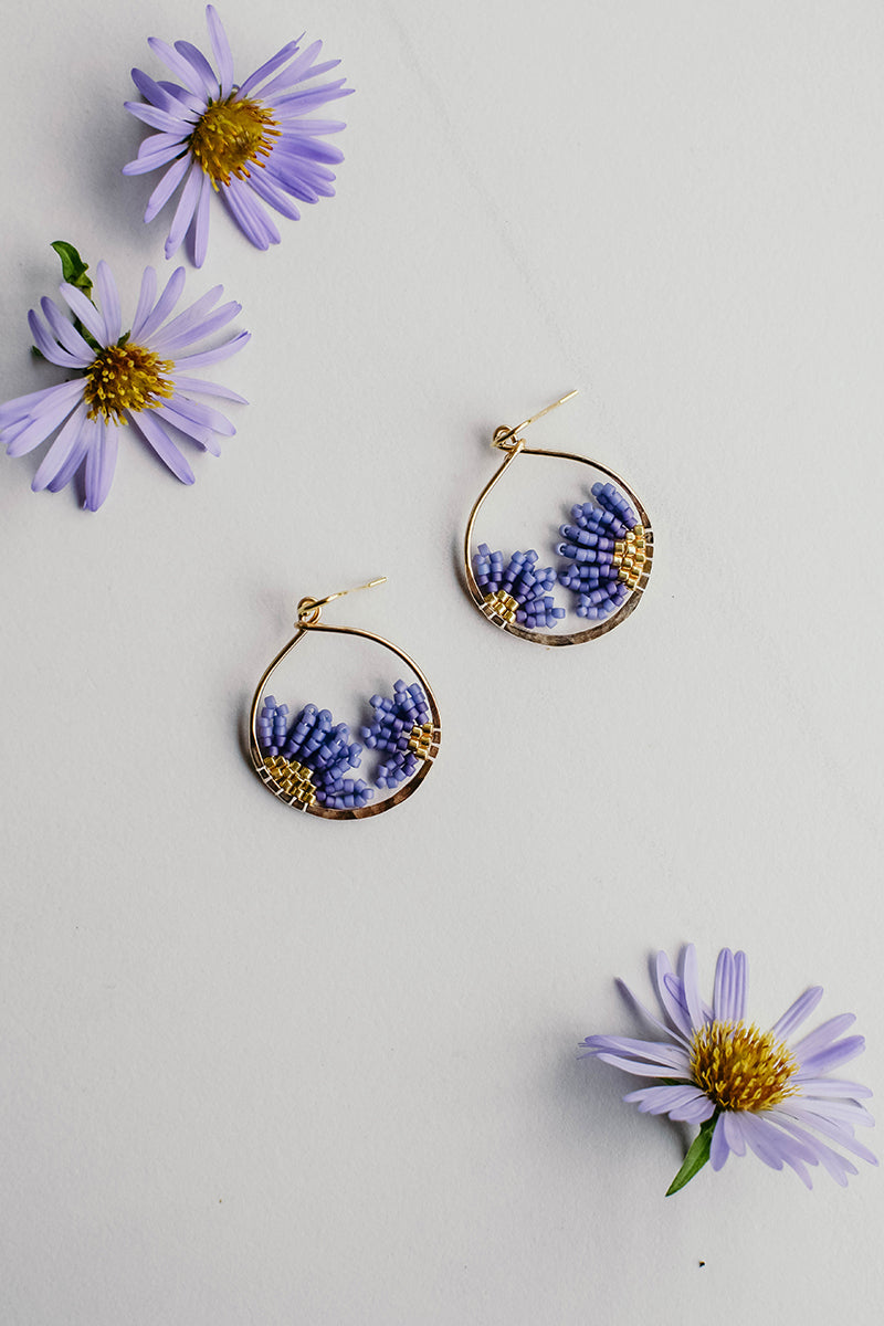 Daisy Lavender