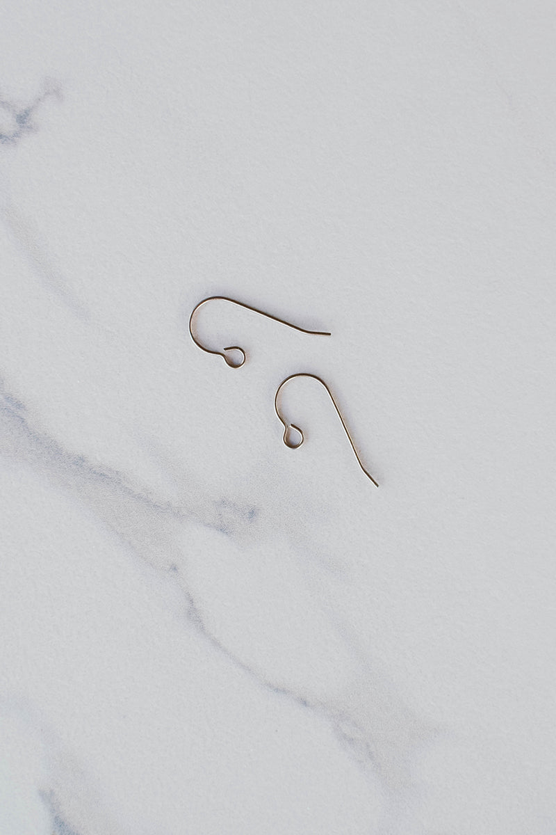 Titanium Earring Hooks
