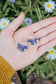 Daisy Lavender