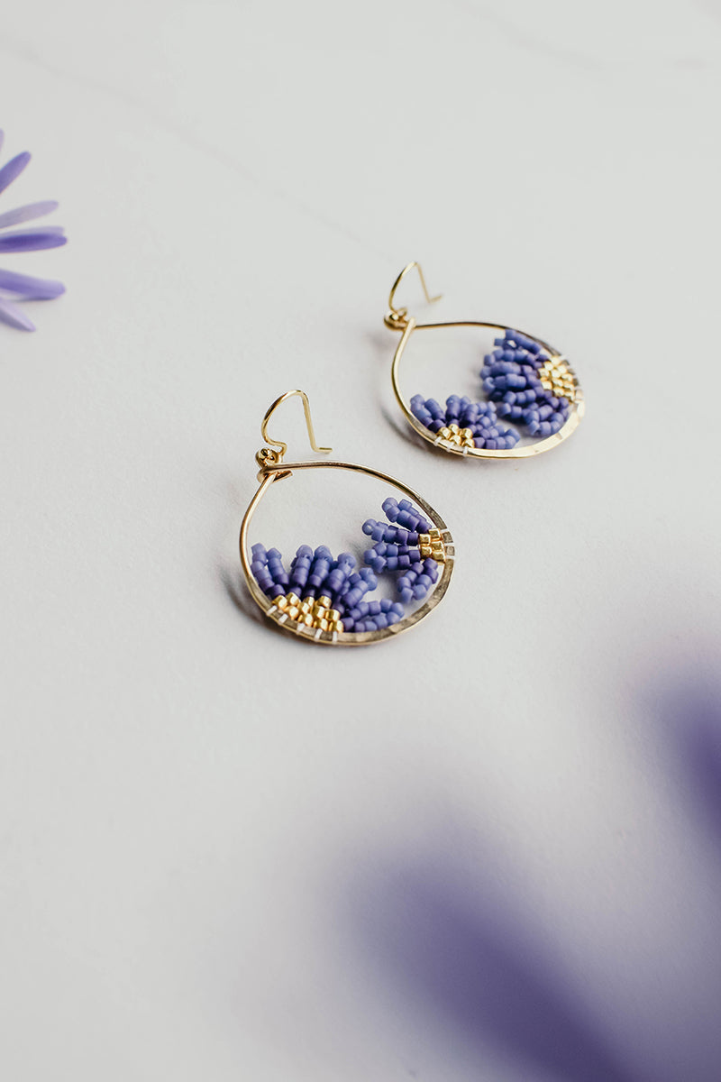 Daisy Lavender