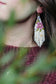 Gemini Plum