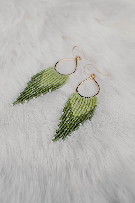 Tally Fringe Fern