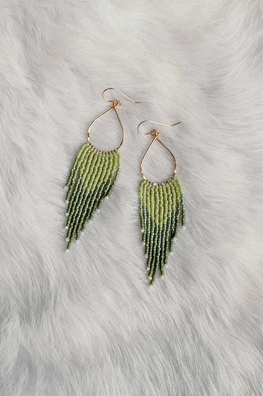 Tally Fringe Fern