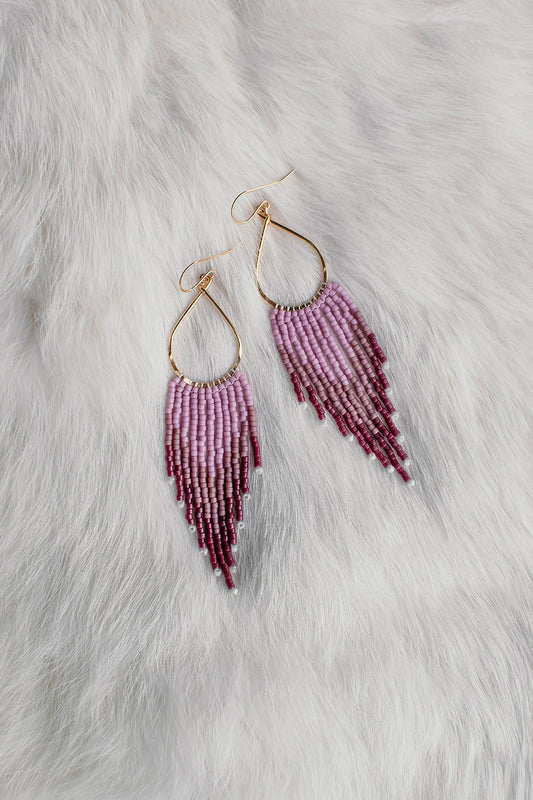 Tally Fringe Orchid